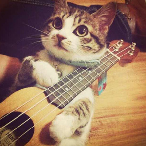 18➕精品➕爽➕国产滴蜡
